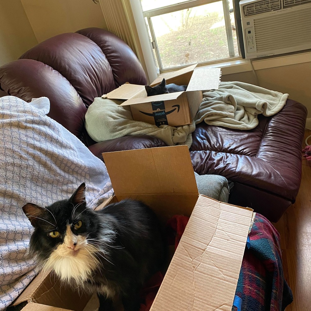 Meet your Posher, Jodie